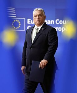 Węgry nie potępią Rosji za drony. Bo to były pokojowe drony! [OPINIA]