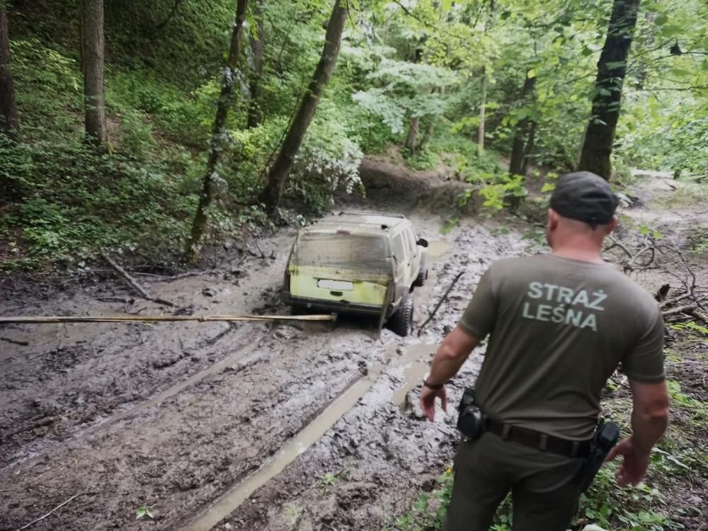 Miłośnicy off-roadu rozjeżdżali cenne przyrodniczo wąwozy