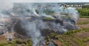 Płonie Obszar Natura 2000 "Białe Błota”. Sytuacja jest trudna i nieopanowana. Zadymienie widać z Warszawy