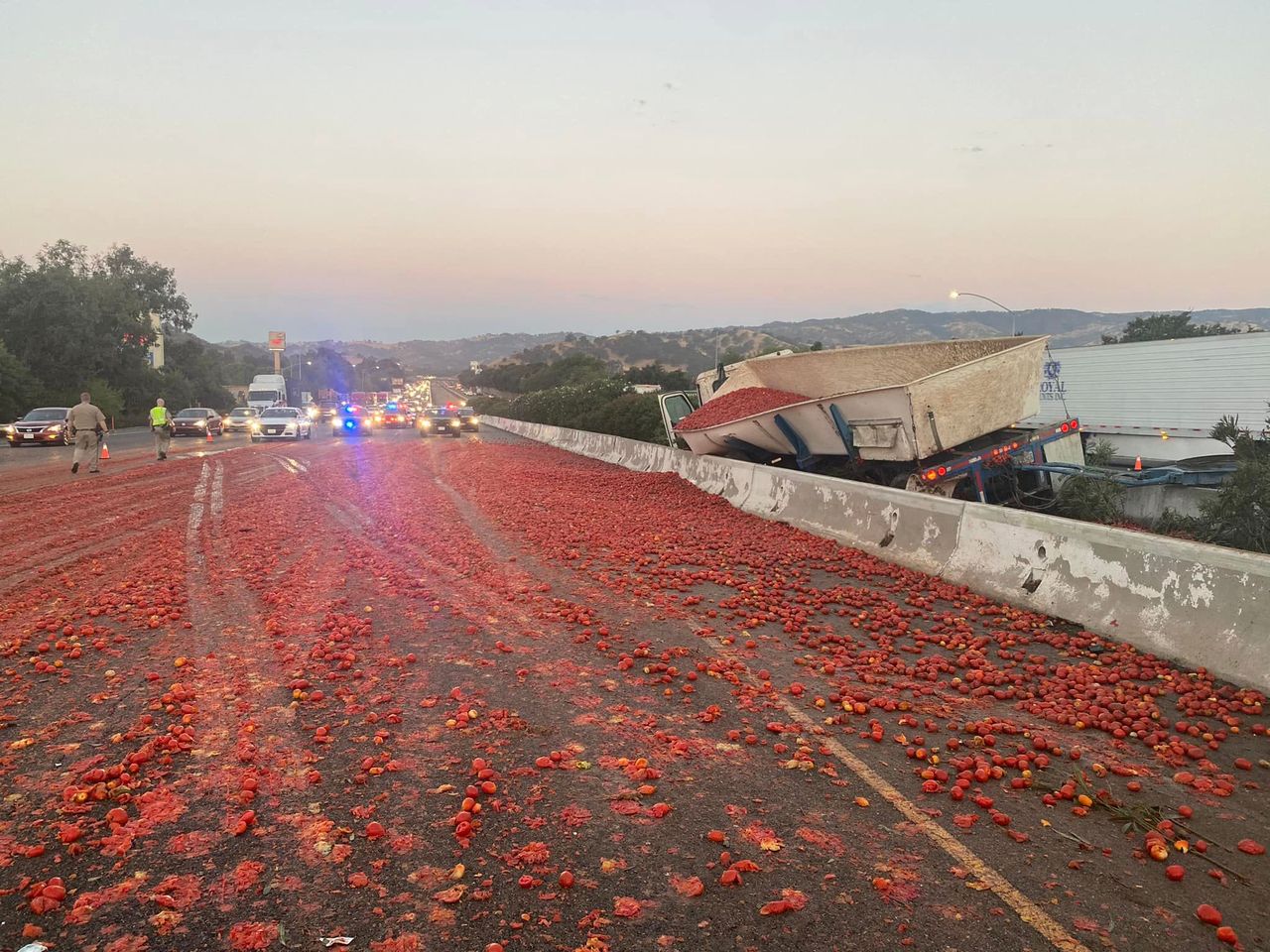 Prawie 300 tys. pomidorów rozsypało się po kalifornijskiej autostradzie, powodując karambol