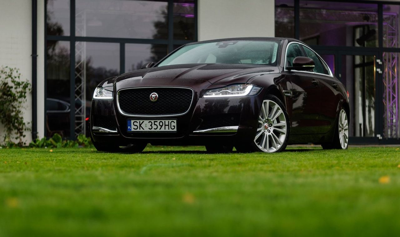 Jednym z aut wystawionych na licytację jest Jaguar XF (zdjęcie poglądowe)