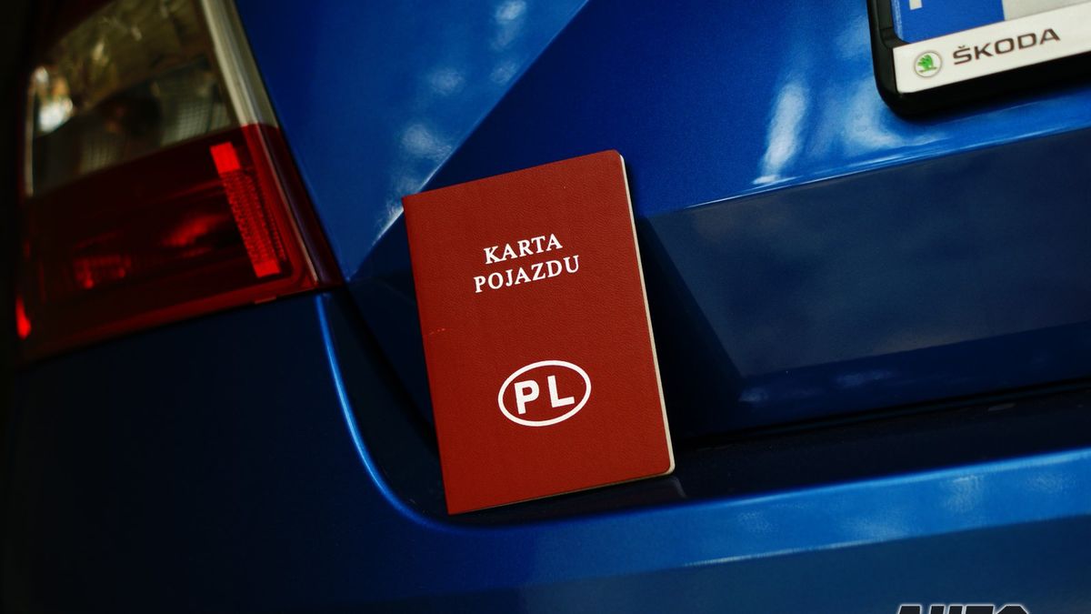 W karcie pojazdu znajdziemy całą historię auta lub motocykla.