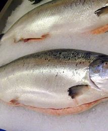 Inspekcja Handlowa zachęca: sprawdź zawartość ryby w rybie