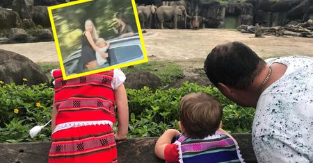 Polskie matki w czeskim zoo. "Szkoda słów na taki brak wyobraźni"