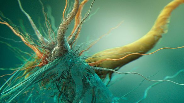 Superbakteria odporna na antybiotyki. Czeka nas zagłada? 1