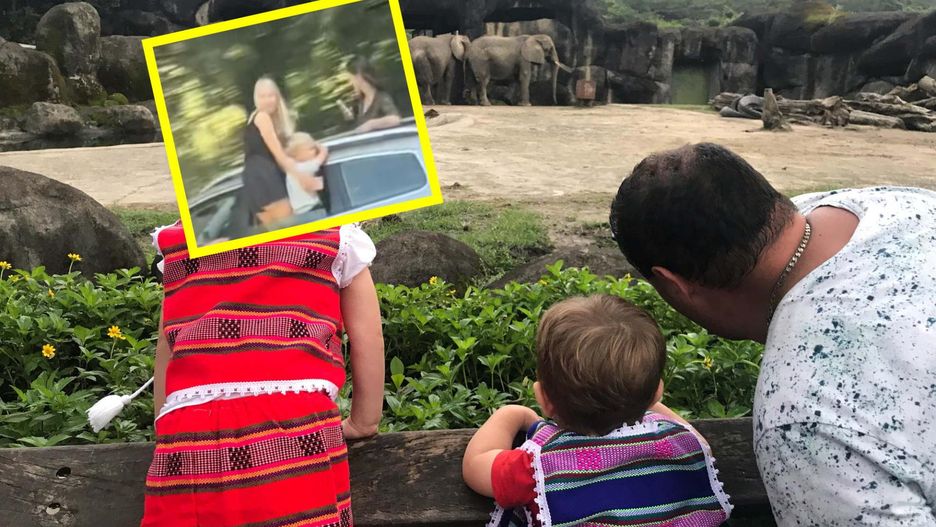 Nagrali polskie matki w czeskim zoo