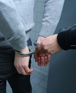 Jelenia Góra. Zwierzę umarło w cierpieniach. Kat kota ujęty