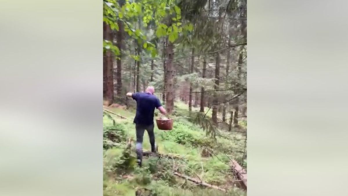 Gigant w środku lasu. Grzybiarz rzucił się biegiem