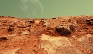 Elon Musk martwi się o kolonizację Marsa - zdjęcie ilustracyjne 