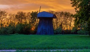 Noc Muzeów 2021. Muzeum Wsi Lubelskiej to tegoroczny hit. Google oszalał