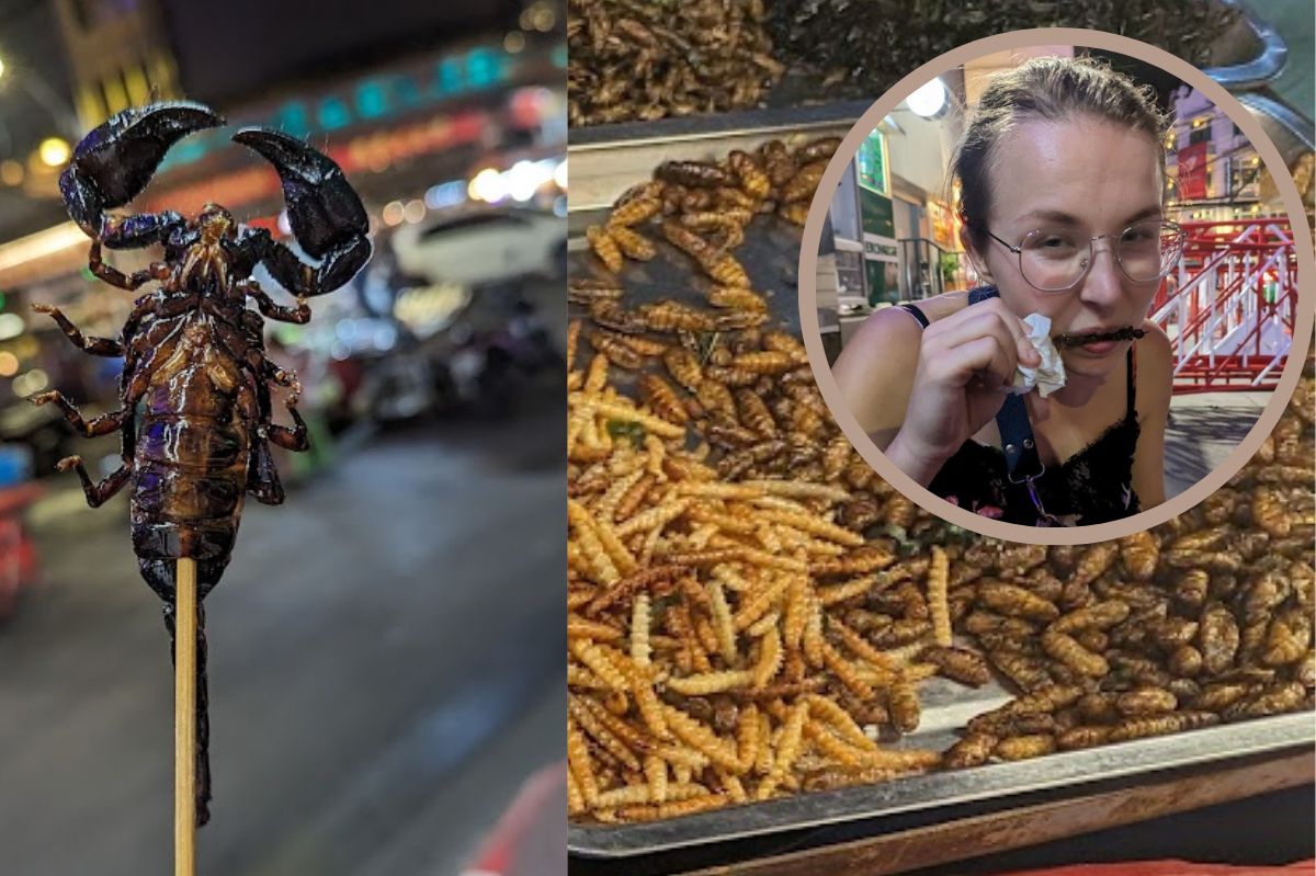 Fried silkworm larvae and crispy scorpion. Such specialties can be obtained at a street stall in Thailand.