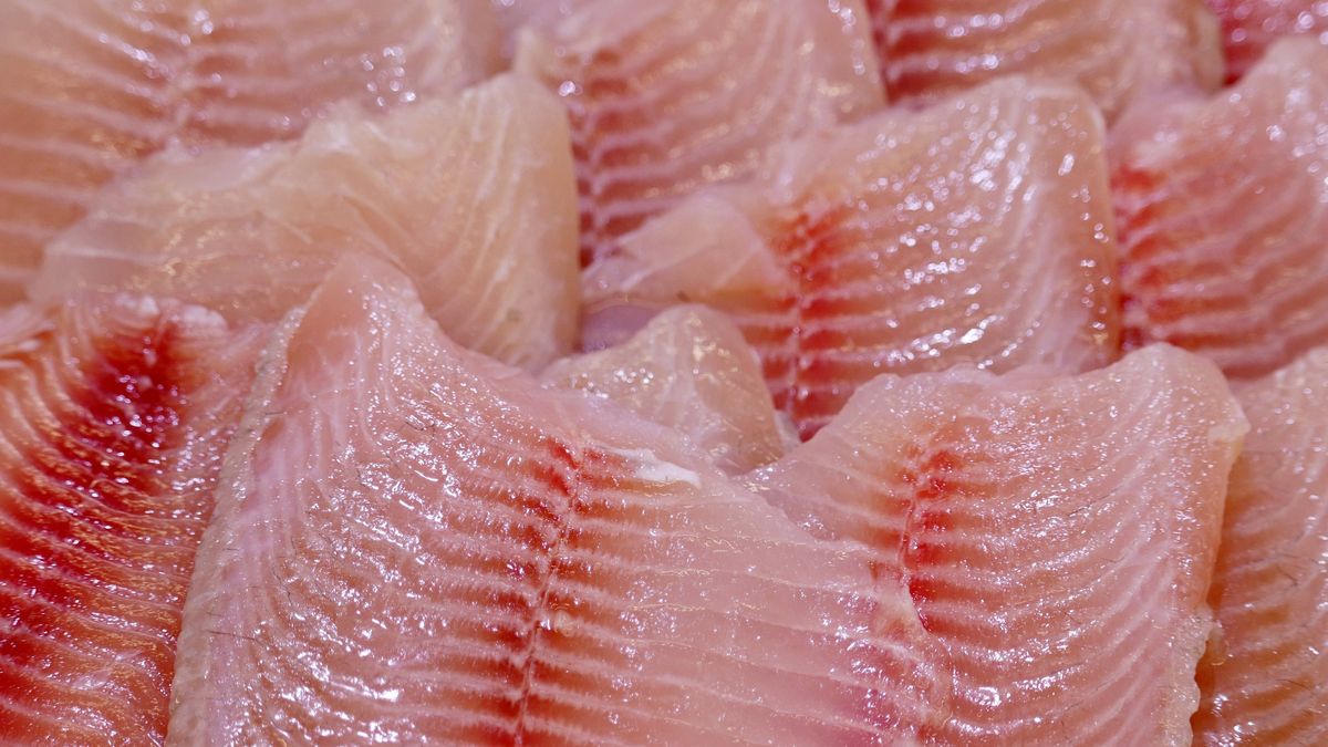 Tilapia zawiera największe ilości ciężkich metali takich jak ołów, rtęć i kadm