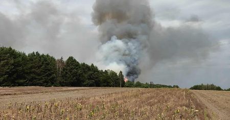 Kilka hektarów lasu w ogniu. Trwa akcja gaśnicza