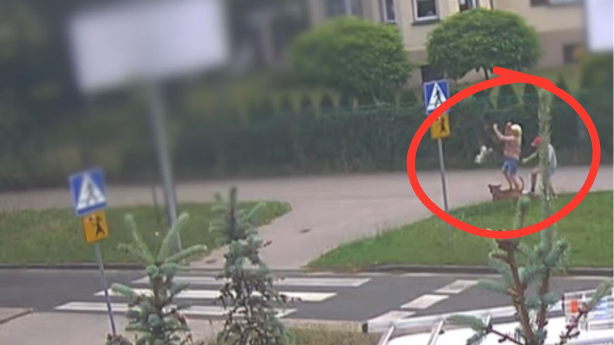 Monitoring miejski wszystko nagrał