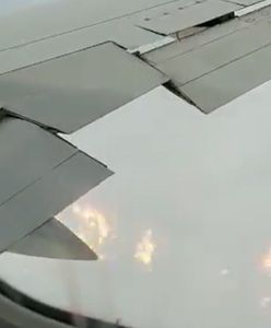 Panika na pokładzie samolotu. "Niesamowity hałas i płomienie"