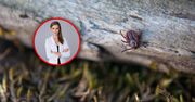 Skuteczna ochrona przed KZM. Tylko 22 proc. Polaków stosuje się do zaleceń