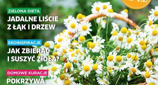 Burda Media wydaje "Zdrowie z natury"