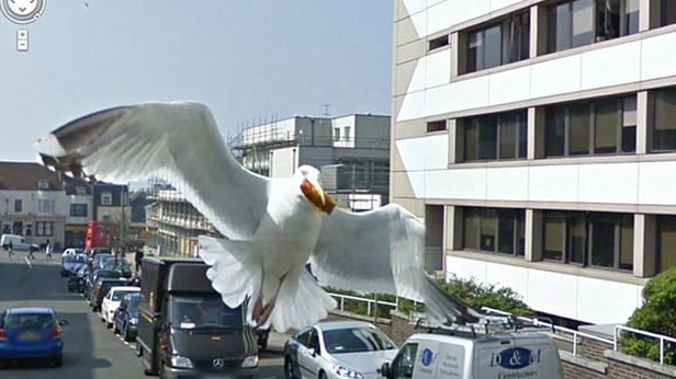 Google Street View widzi wszystko! Zobaczcie 12 niesamowitych zdjęć 1