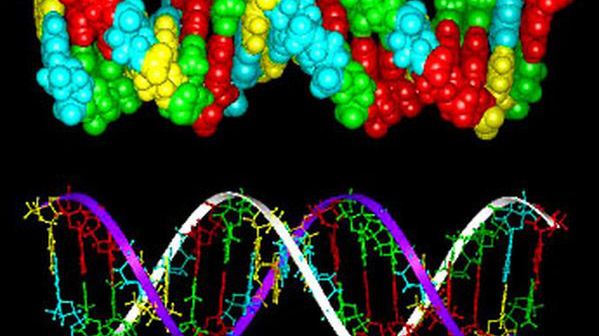 Stało się: życie stworzone w laboratorium!!! 1