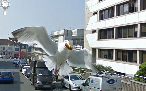 Google Street View widzi wszystko! Zobaczcie 12 niesamowitych zdjęć