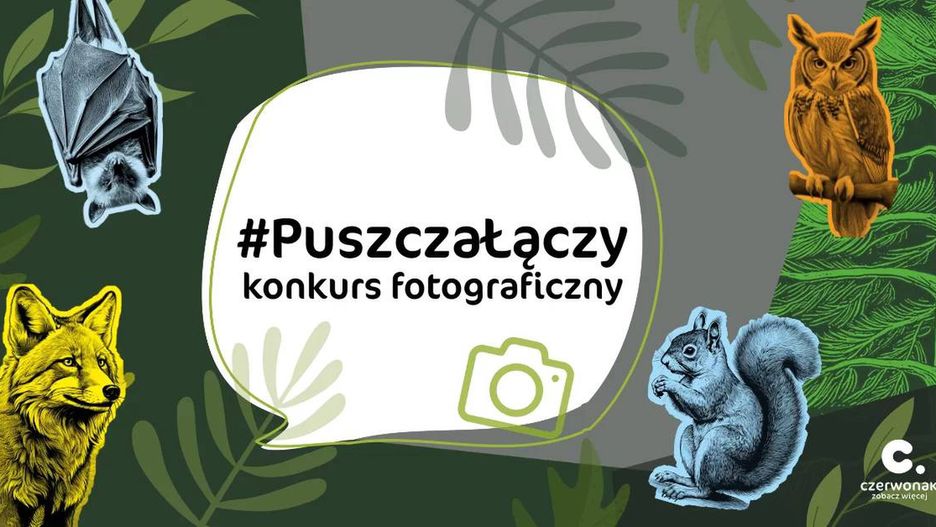 Puszcza łączy