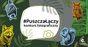 "Puszcza łączy” – konkurs fotograficzny dla młodzieży i dorosłych! Uchwyć piękno natury w Puszczy Zielonka