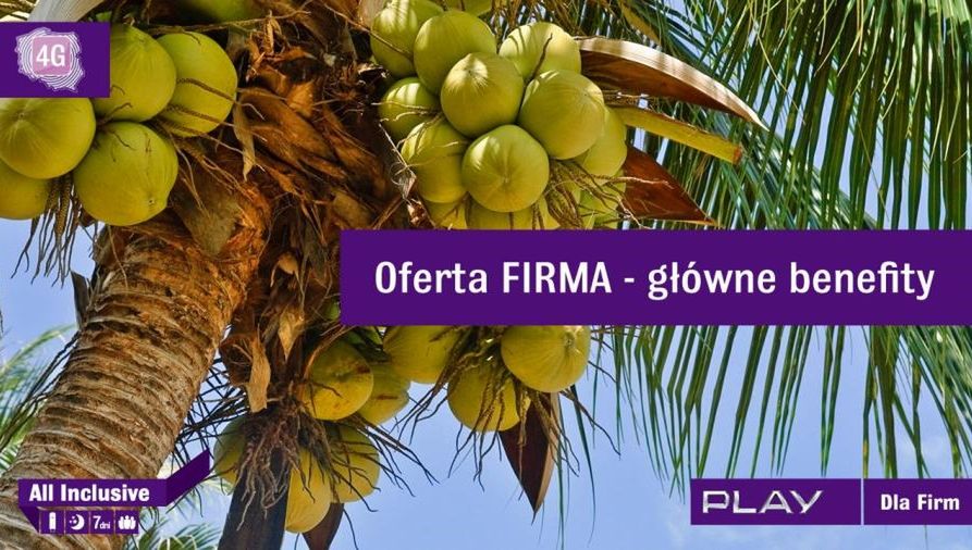 All Inclusive dla firm w sieci Play - szczegóły oferty 1