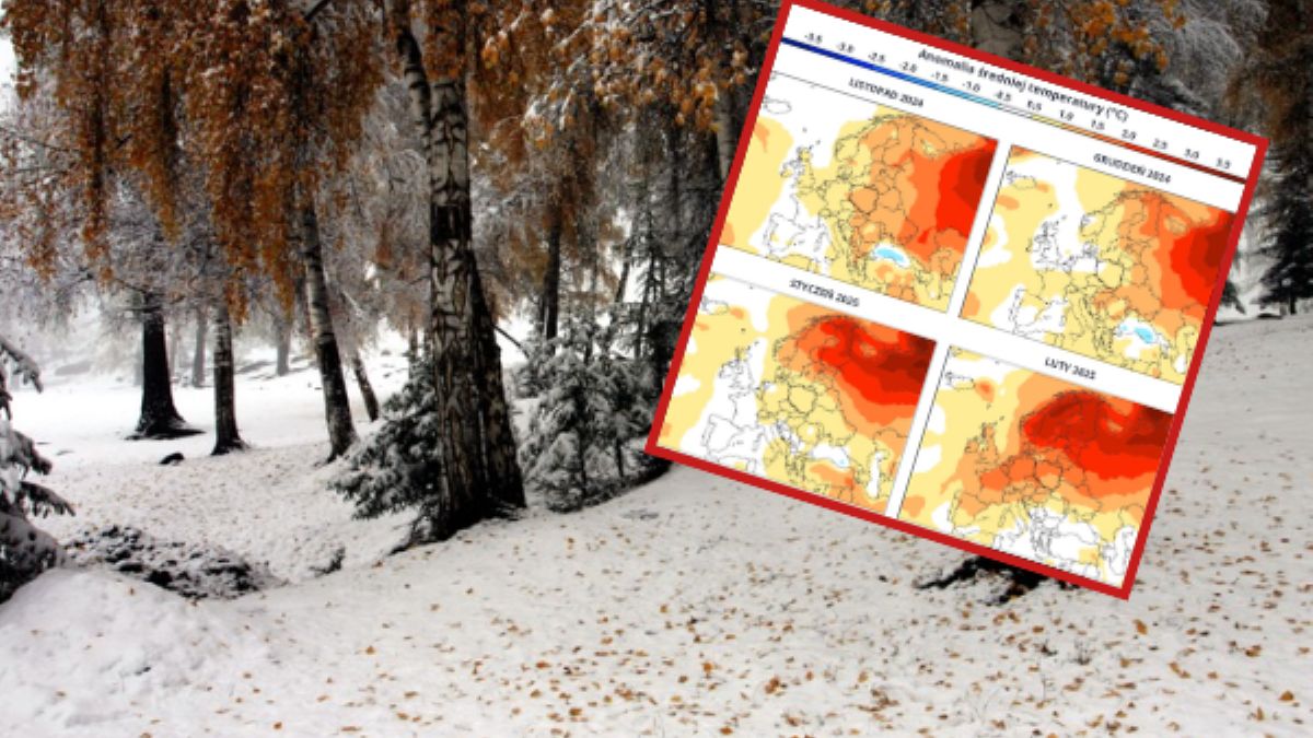 Anomala temperatury i opadów. IMGW prezentuje prognozę