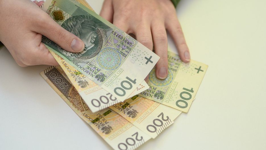 Large denomination Polish banknotes held in a man&#39;s hand, 800 plus
