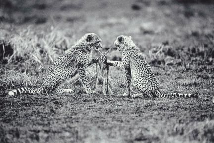 Historia World Press Photo - nagrodzeni Polacy 2