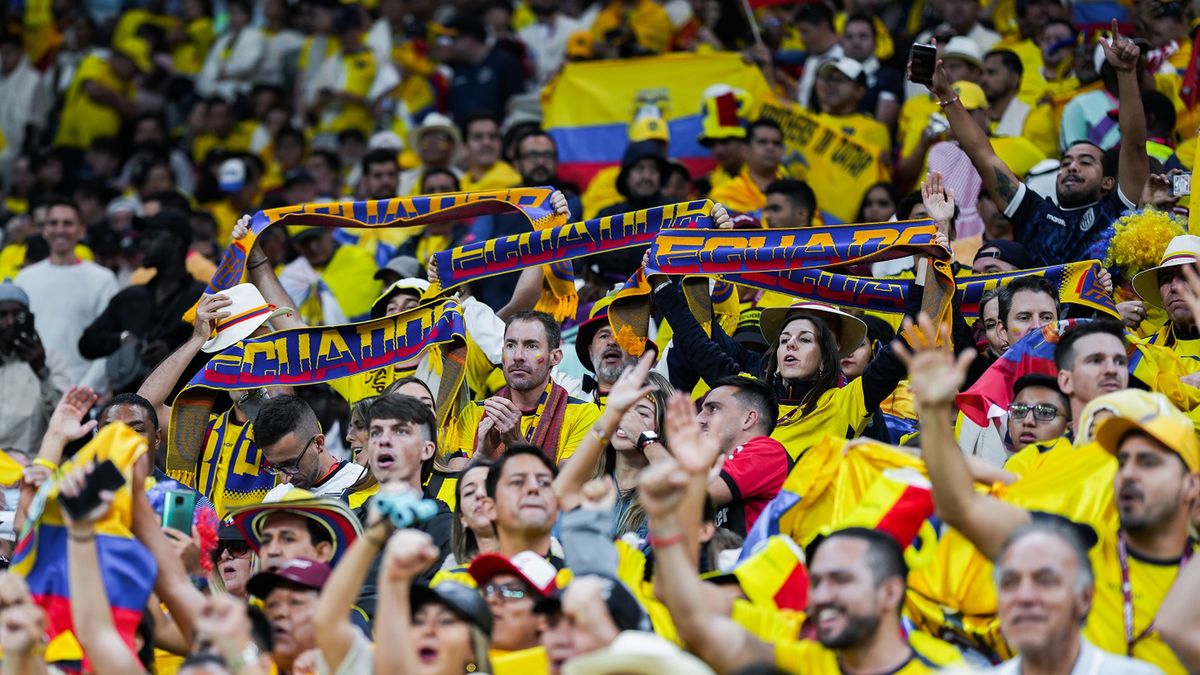 Zdjęcie okładkowe artykułu: Getty Images / Richard Gordon/Icon Sportswire / Na zdjęciu: kibice reprezentacji Ekwadoru