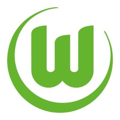 Fot. vfl-wolfsburg.de