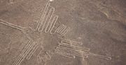 Sztuczna inteligencja pomogła odkryć cztery nowe rysunki z Nazca