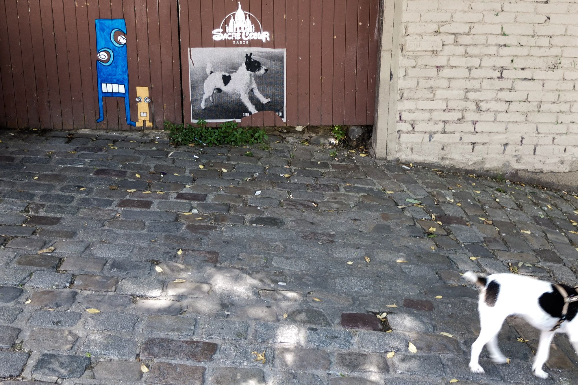 Hans Severin: "Dobra fotografia uliczna jest dla mnie wzruszająca i zabawna" 8