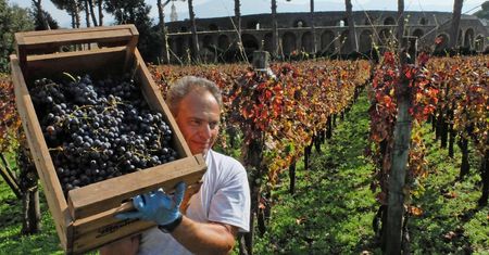 Gospodarka Włoch. Wyprodukują więcej wina, niż Francja