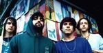 Gaspar Noé kręci dla Animal Collective