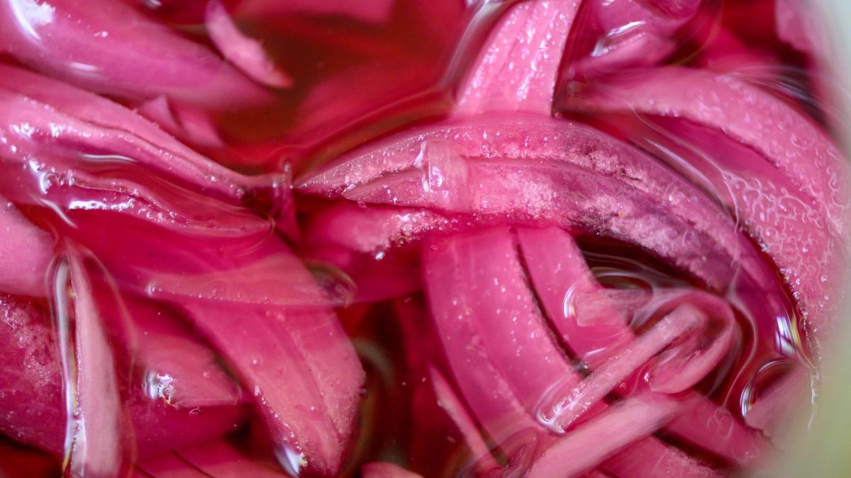 Kiszonki powinniśmy doceniać za obecność wartościowych składników mineralnych.