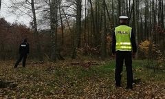 Zwłoki kobiety na obrzeżach Gostynia. Wiadomo, co spowodowało zgon