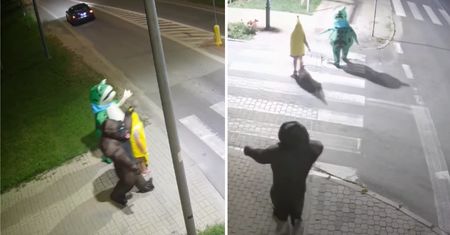 Nie do wiary, co nagrał monitoring. Burmistrz aż zamieścił wpis