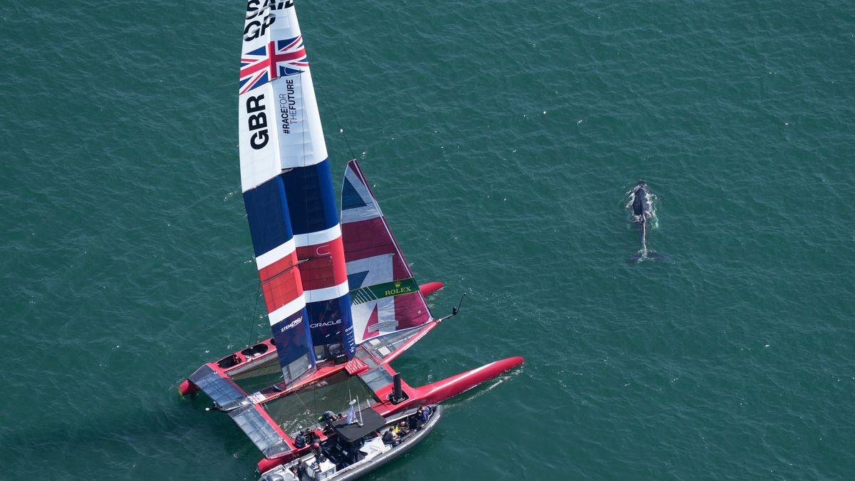 Zdjęcie okładkowe artykułu: Materiały prasowe / Sportklub / SailGP