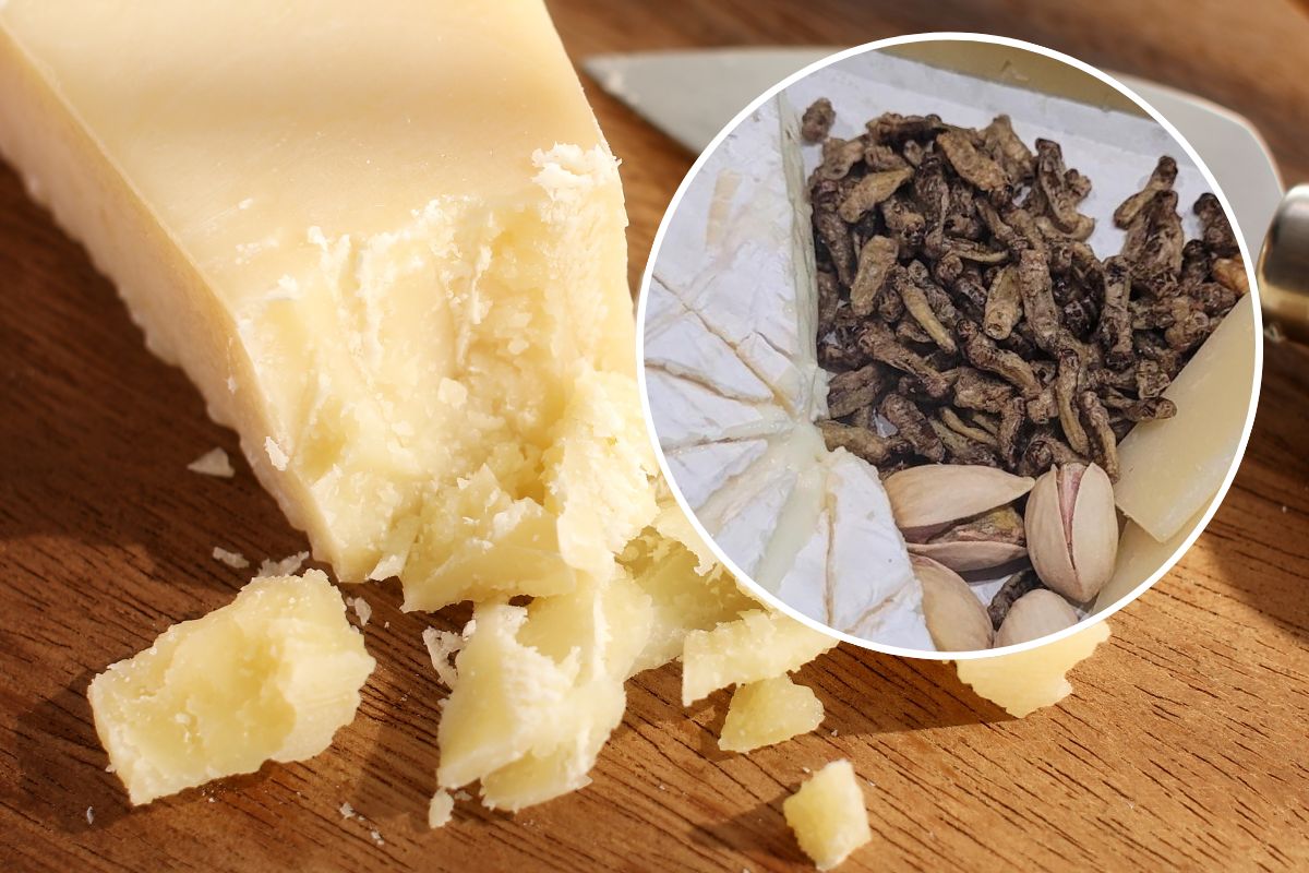 Parmezanowe suszone świerszcze mogą być ciekawą przekąską