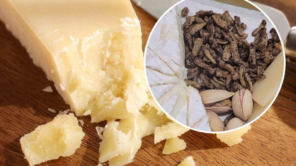 Parmezanowe suszone świerszcze mogą być ciekawą przekąską
