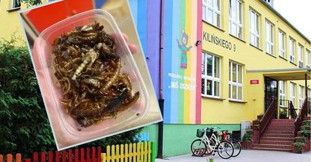 Karmią dzieci robakami? Przedszkolanki powiedziały "dość"
