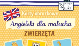 Karty obrazkowe Angielski dla malucha Zwierzęta