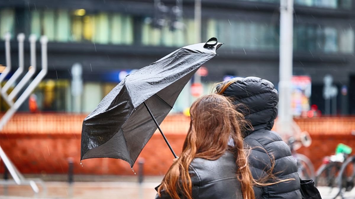 DAREK11
ludzie, parasolka, deszcz, wiatr, mocny, wichura, zawieja, kobieta, dziewczyna, pada, ulewa, zimno, z parasolem, ny, spacer, miasto, zima, w kurtce, trzyma, para, chlapa, listopad, natura, pora roku, choroba, grypa, deszczowy, burza, silny, woda, pogoda, wietrzny, tajfun, usa, japonia, moda, ulica, lud, baba, osoba, kocham, miejski