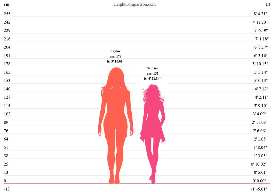 Taylor Swift pod ostrzałem hejterów. Piosenkarka założyła szpilk