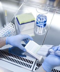 Szczepionka na koronawirusa. W pierwszej kolejności seniorzy. Premier podał szczegóły