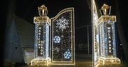 Warszawa: Magiczny ogród z tysiącem światełek. Instalacja już otwarta