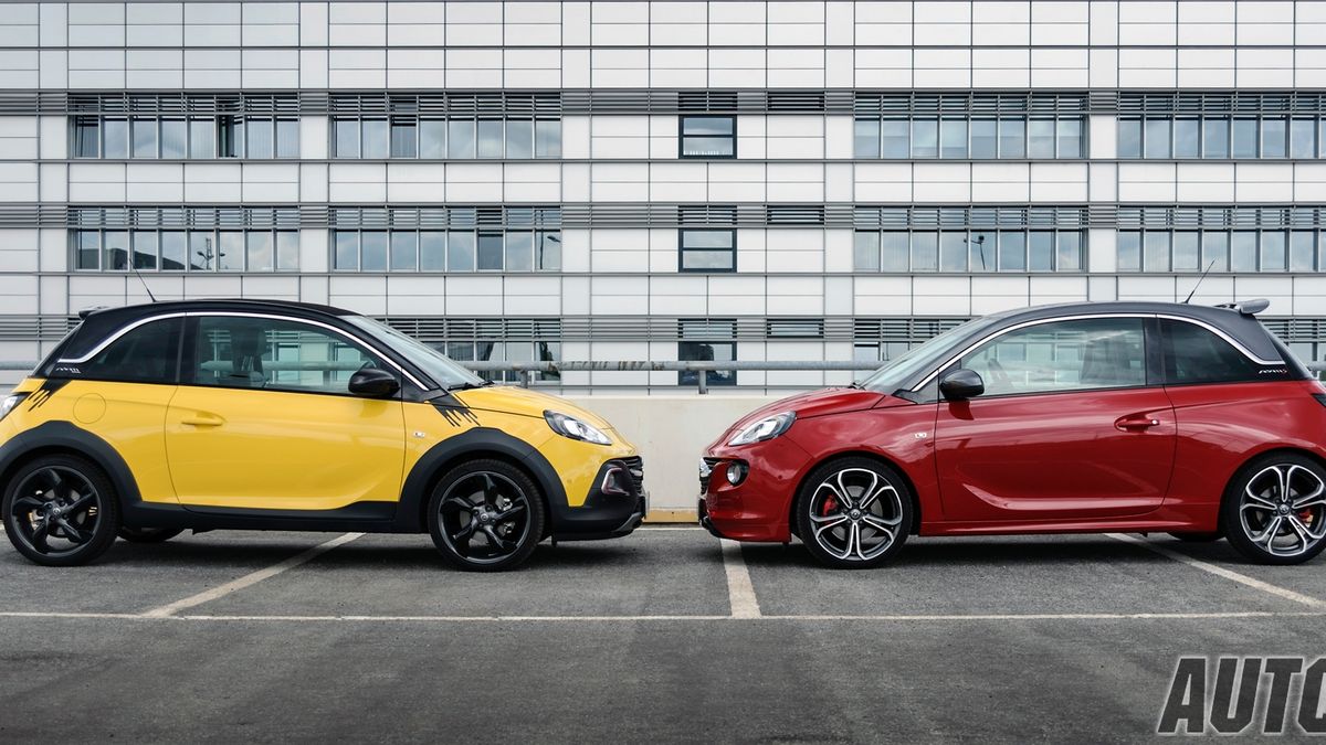 Rocks w teren i S na tor? Nie tak prędko, tak naprawdę ich środowiskiem jest miasto...