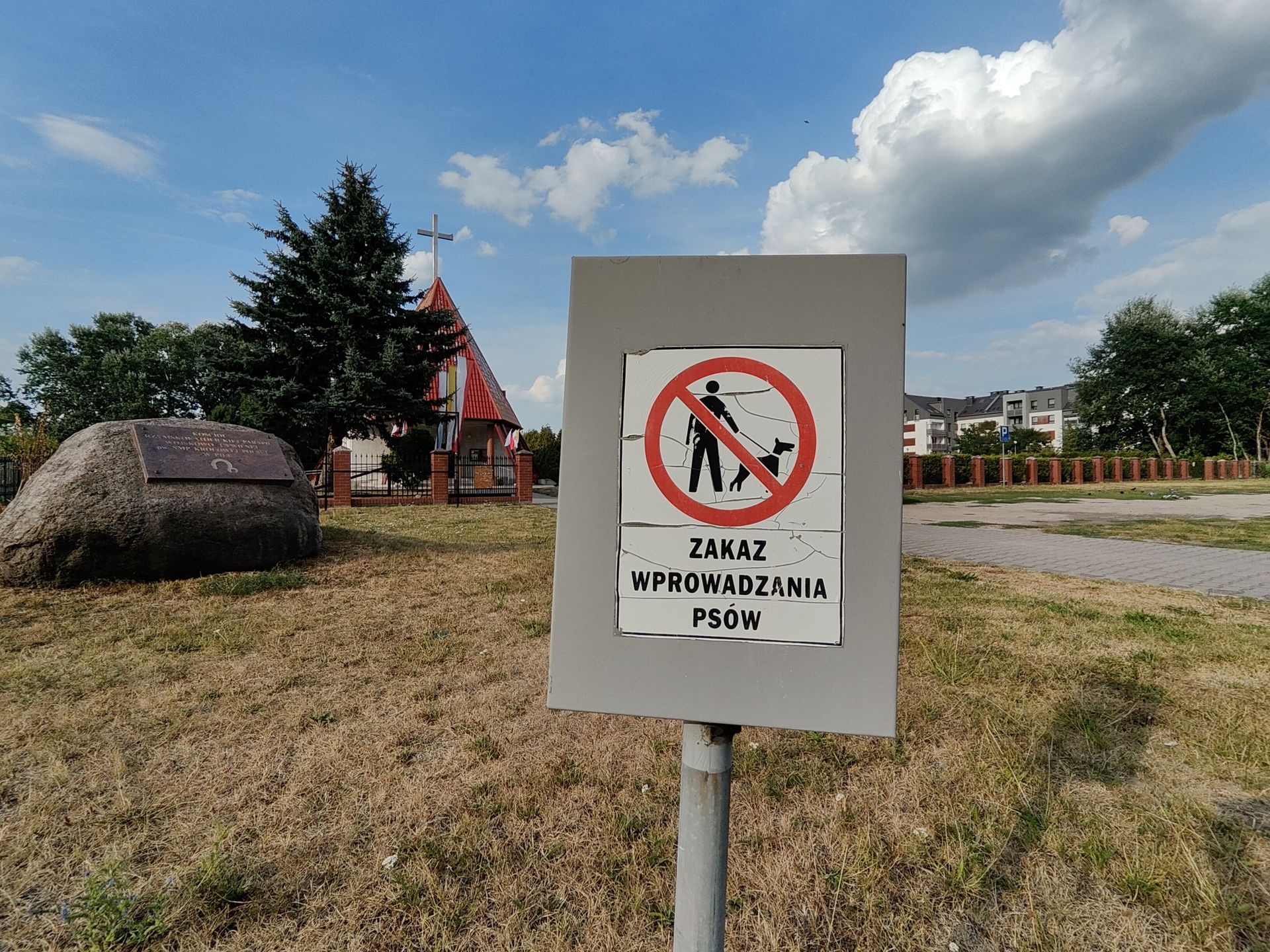Zdjęcie zrobione OnePlusem 10T